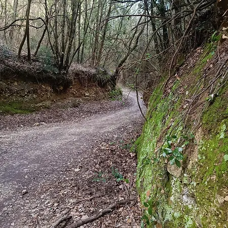 Дом отдыха Casa Paola Нумана