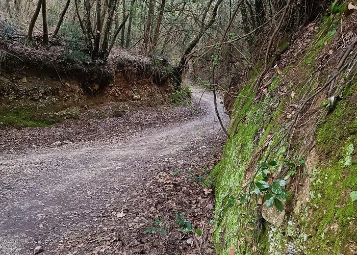 Сasa de vacaciones Casa Paola Numana